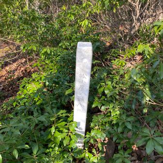 手書きだけど登頂