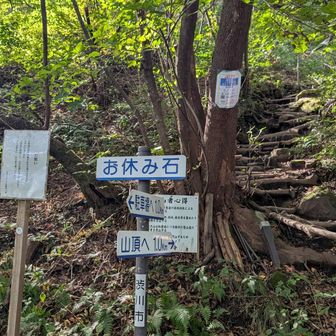 皆さんの活動日記でよく見るやつです💡
水沢山は整備が行き届いているのでご飯食べてすぐに登らなければとてもよい山です。