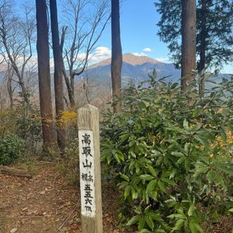 すこーしずつ高度が上がってます。
一つ登ると結構下る　を繰り返して進んでいきます