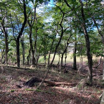長い登りが終ると鍋倉避難小屋前の緑の広場が現れた。