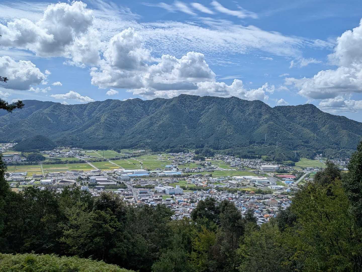向山山系がスッキリ見えます
いい感じ😍
向山には今年4月  ヒカゲツツジ💛を観賞しに山行したところでした
来年、余力があれば向山に山行後、黒井城跡コースチャレンジもグッド👍️ですネ