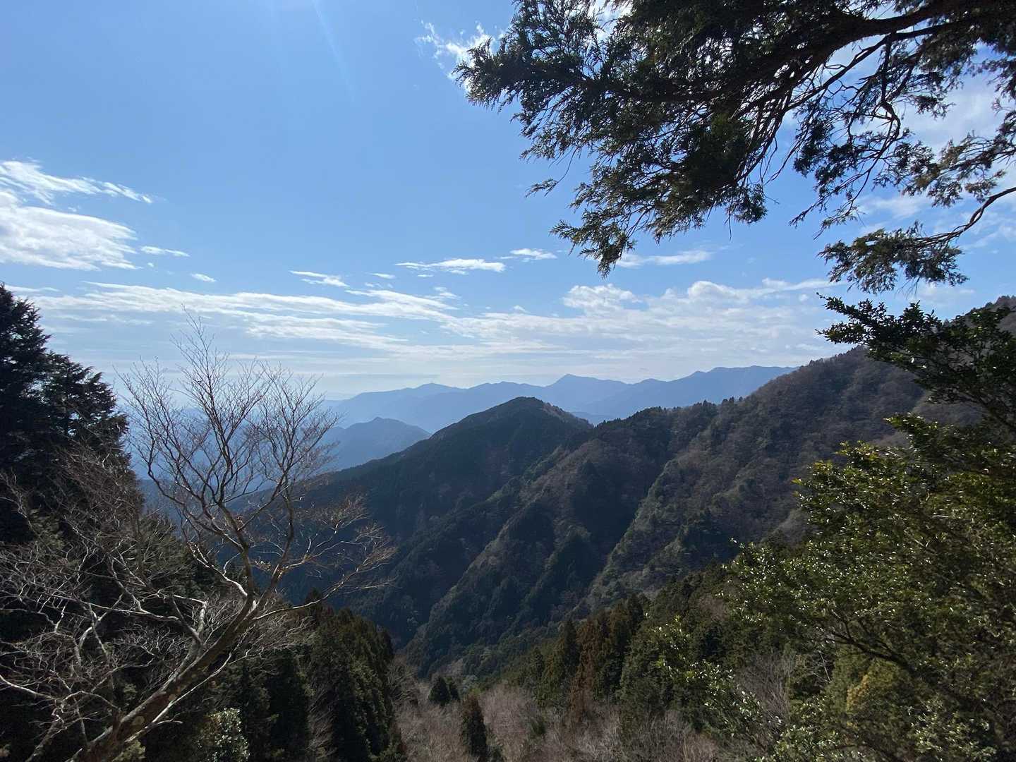 清水湾のほう。
