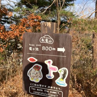 須坂市動物園の動物たちが描かれた山頂標識(^^)