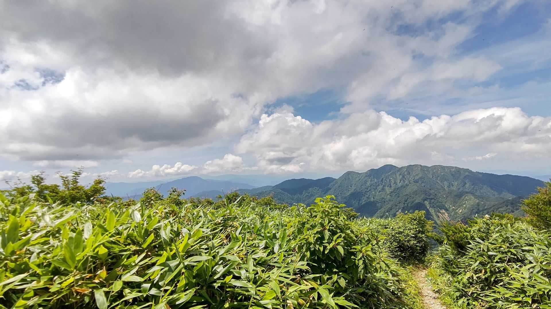 反対側には
荒島岳と経ヶ岳