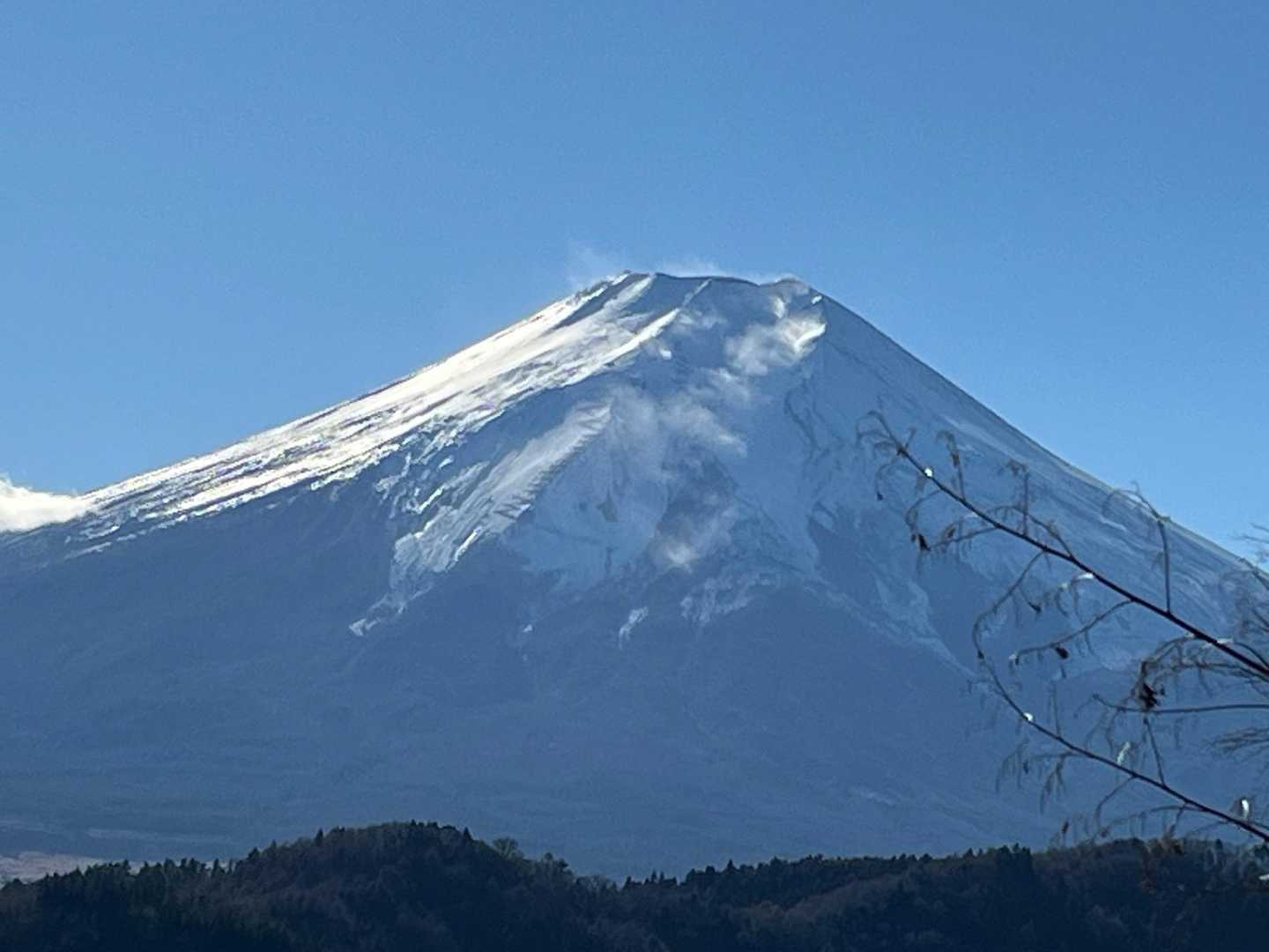 雪が舞ってる😲