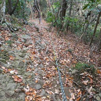 とにかく急登の連続💦