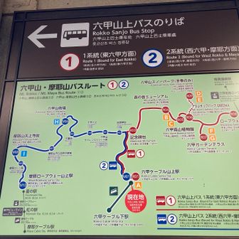 ケーブル駅までのバスがすぐ来たのでラッキーでした💦
六甲ケーブルは改修工事のため運休していたので、代替バスで下山