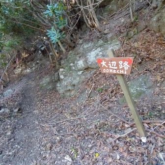 海から山へとりつく