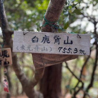 やっと着いたー！という感じ
お正月休みのツケがきてます