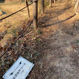 北沢谷戸コースを歩きます。綺麗に整備されていて気持ち良きです。