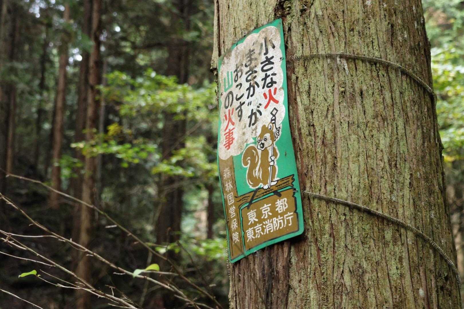 🐿️