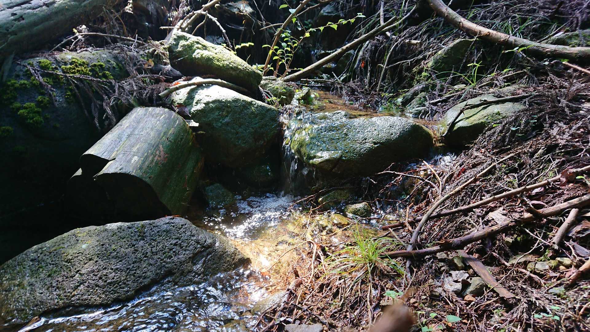 沢がキレイ😆お水冷たい。