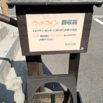 ここで帰る人は、受付時にもらった番号付きのウッドコインを返却します。
これをもって、無事に下山となります。
私は再びネイチャーセンターへ戻って、次のお楽しみへ🎶