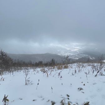 函館山も見えず😭