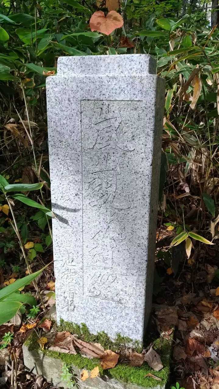 嵐山の写真