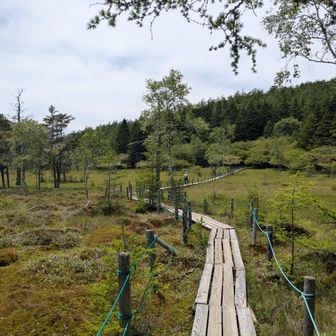 大阿原湿原