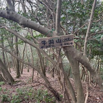 再び未認定の牛洞山