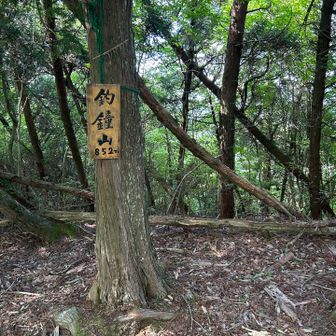 地図から判断したよりも割と簡単に着いたね。
