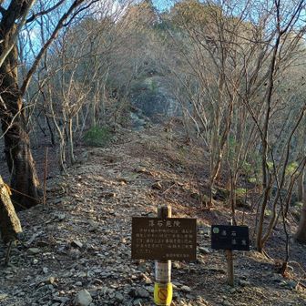 この先に楽しそうな壁鎖登りが見えるが通行止め