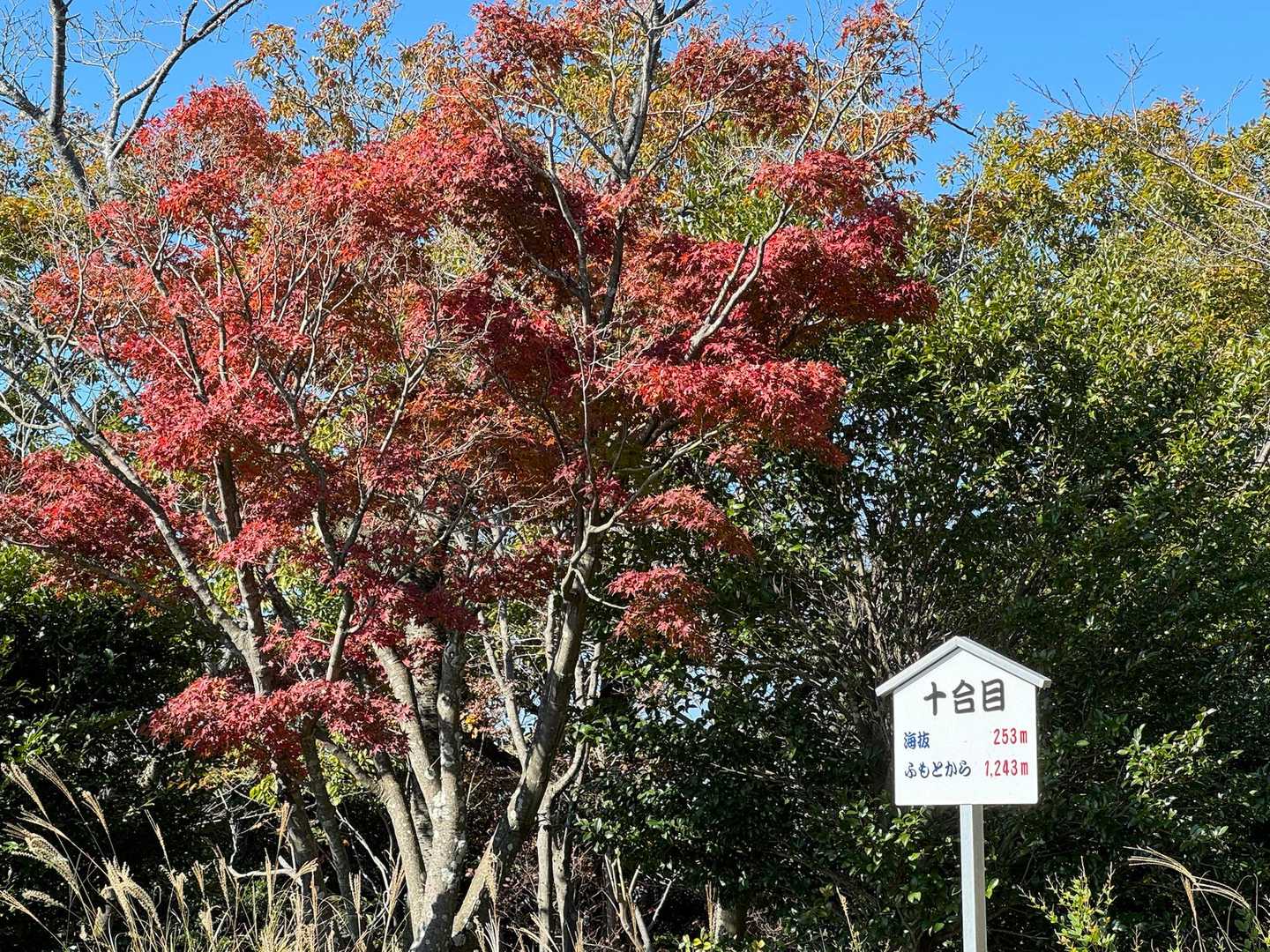 坂越駅-後山-雄鷹台山-雄鷹台山登山口-播州赤穂駅 縦走コースの写真