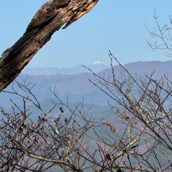 日光白根　雪で白い！
