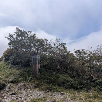 稜線に到着🎶
雨のち晴れ、の予報が当たった？幸せ！
…とこの時は思っていた🫣