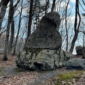 五波峠(ごなみとうげ)に到着　登山は終了
