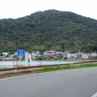 竿池