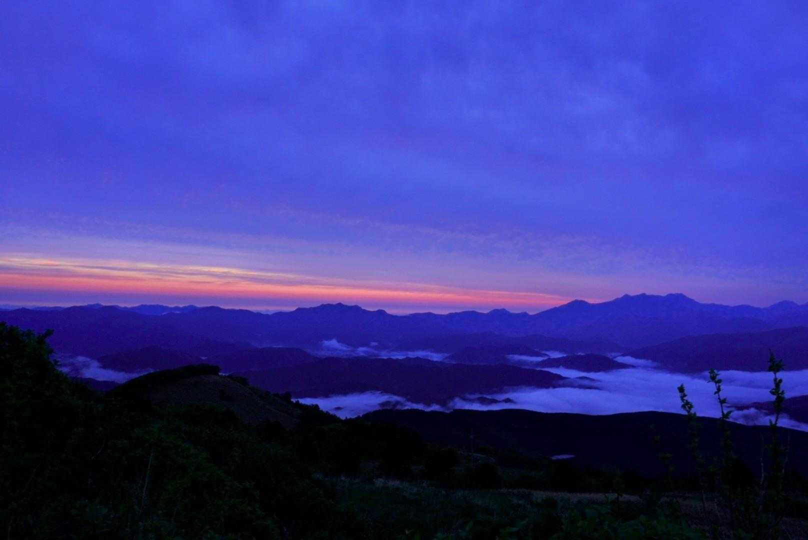 大川嶺分岐点-大川嶺-笠取山 往復コースの写真