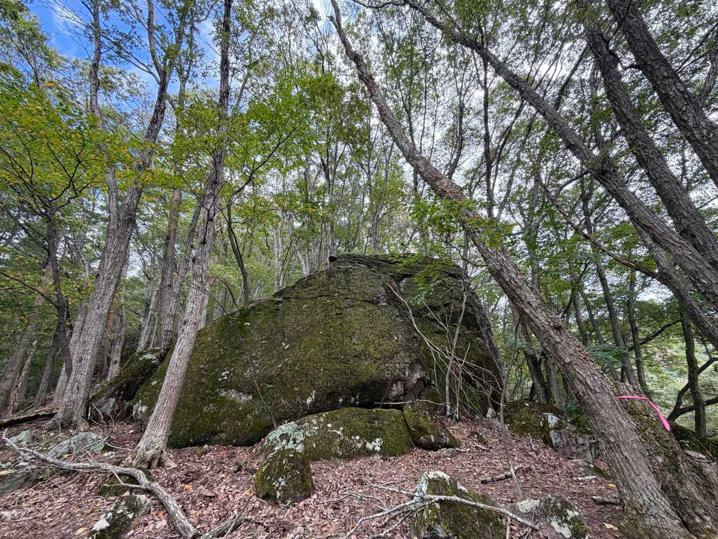 巨岩 ぬりかべ2号