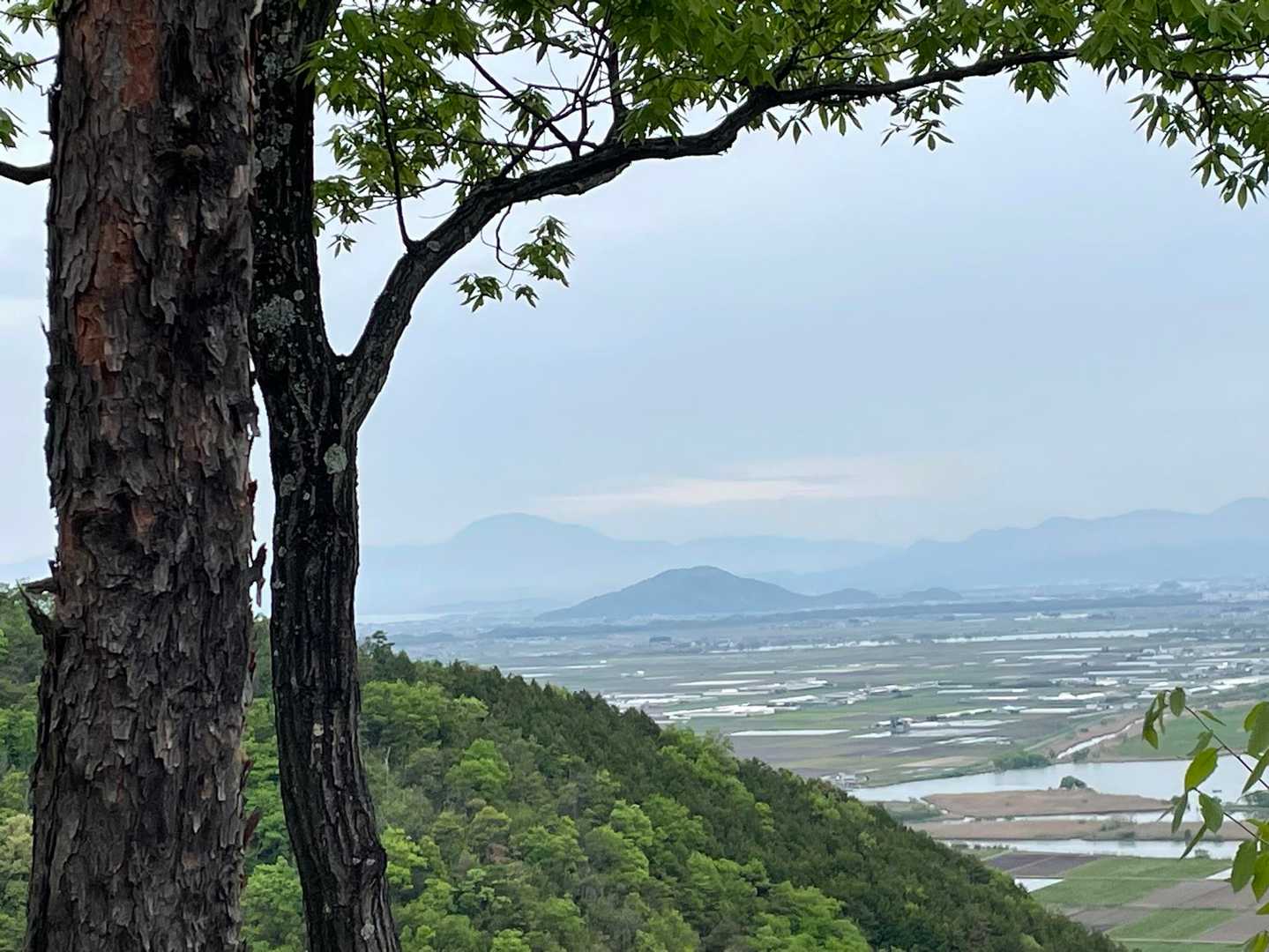 あ！伊吹さんが見えてきた(左)