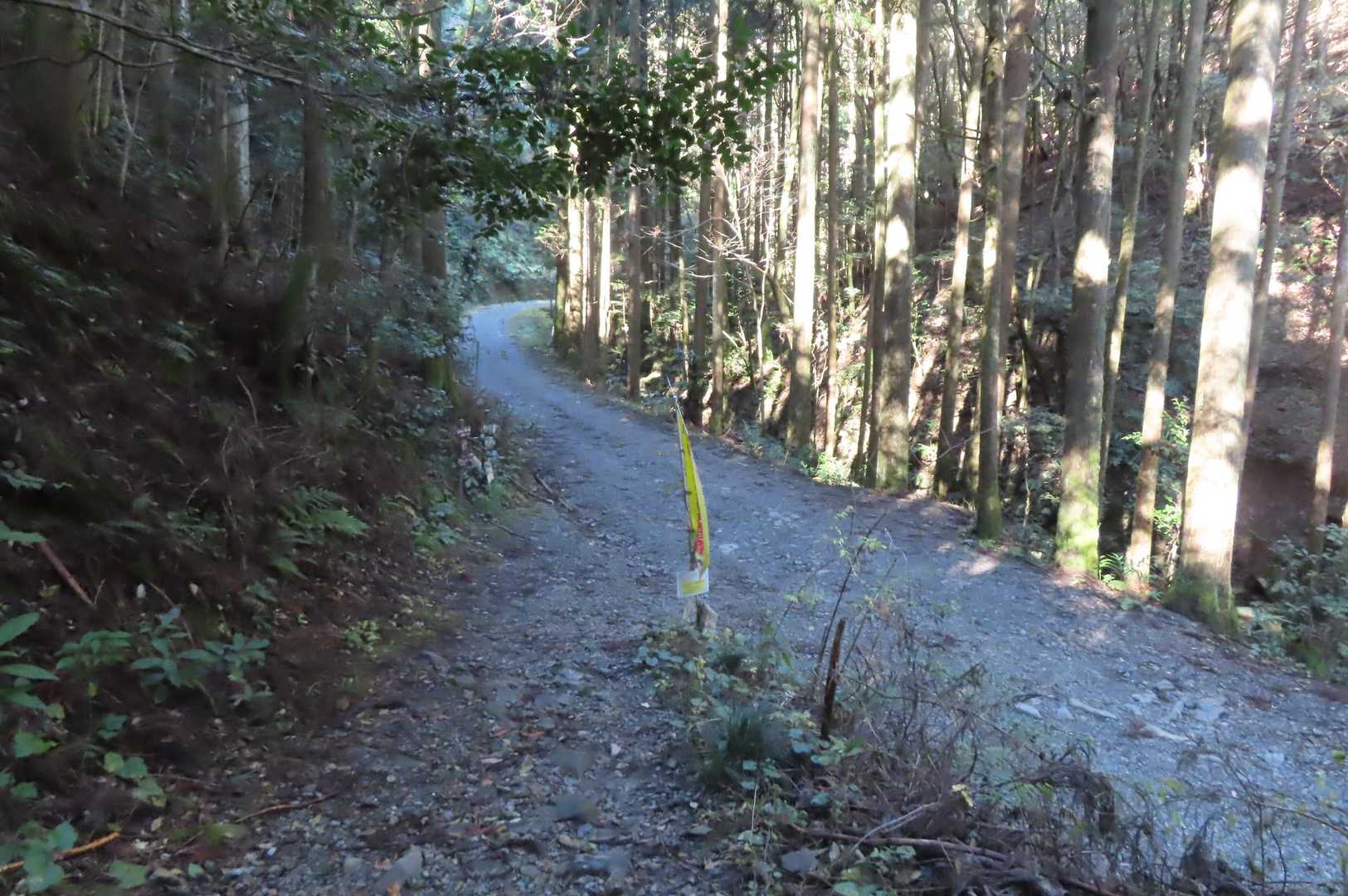 戻りました✨
ただいま