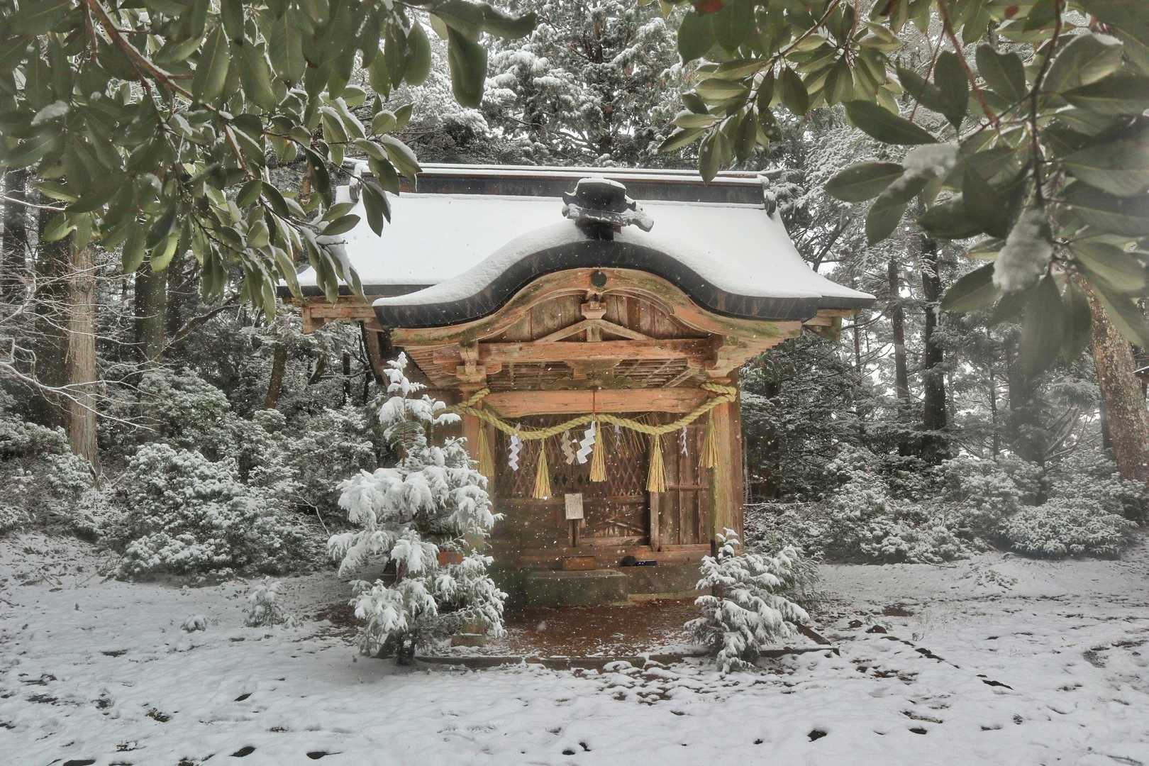 金刀比羅さんのお社。人はいなくとも人工物があるとほっとしますね。
