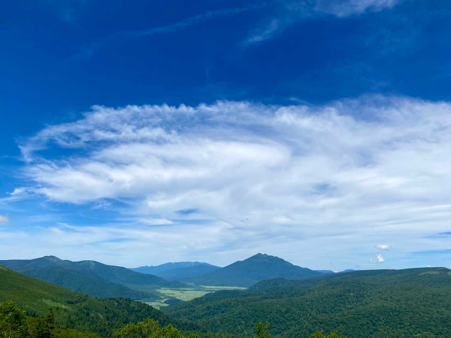 時折涼しい風が吹く気持ち良い夏山歩きになりました〜♪