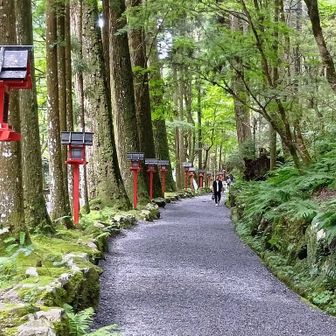 そして涼やかな参道をさらに奥宮へ。
