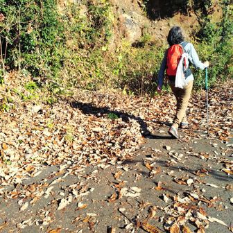 👨すげー落ち葉🍂
👩冬山やな
