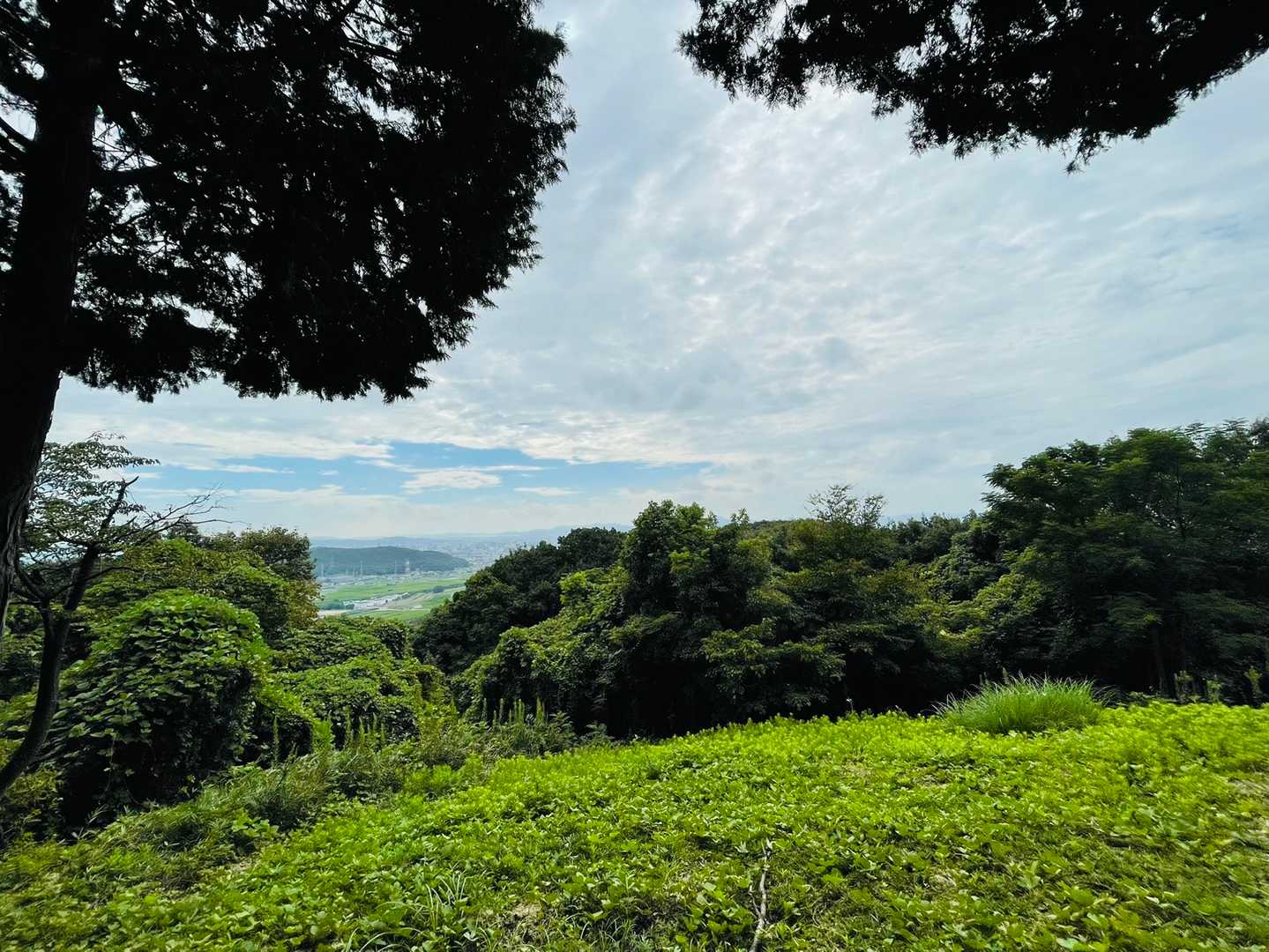 龍王山から