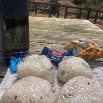 豪華ランチ
奥に見える🌸🌸🌸は、