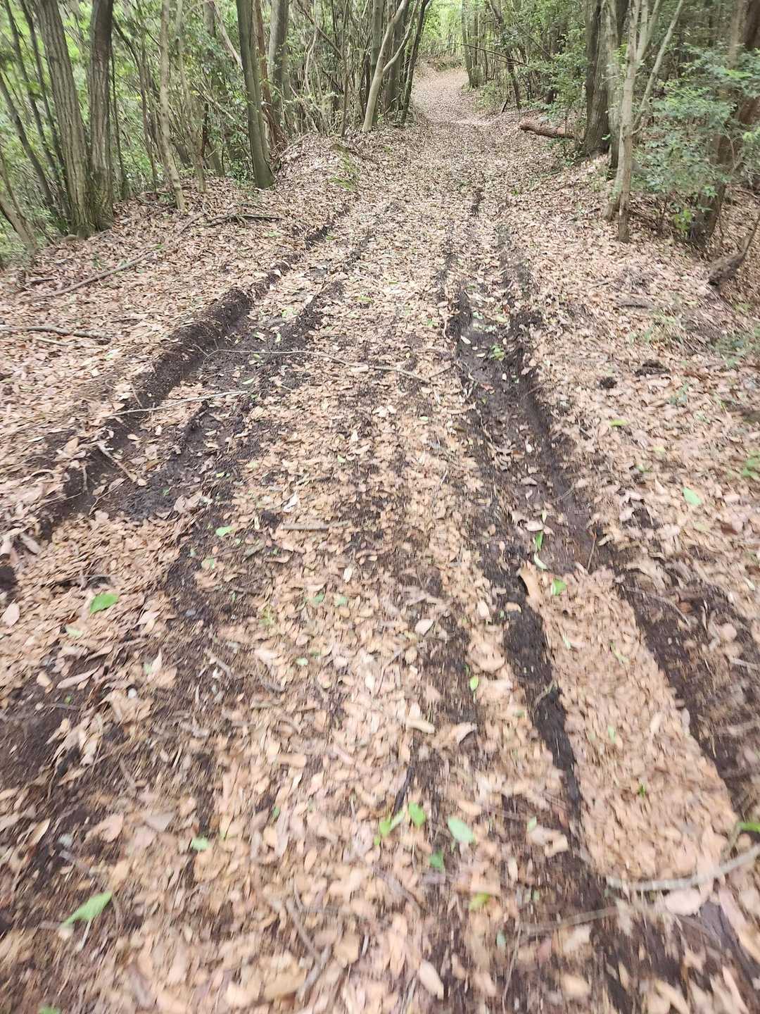 車も通れる