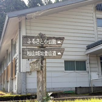 花はす温泉そまやまの裏から登っていきます