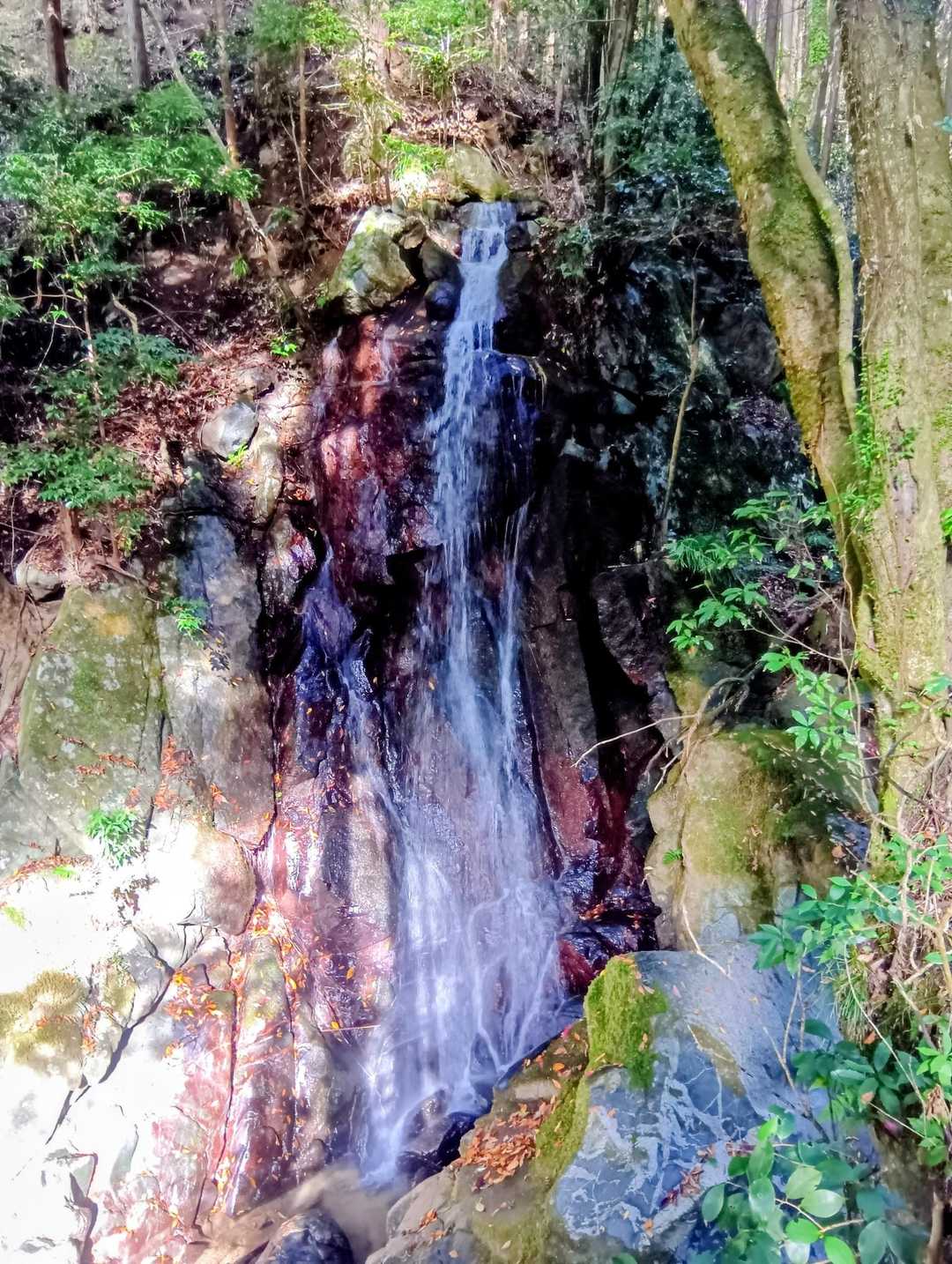 不動の滝💧