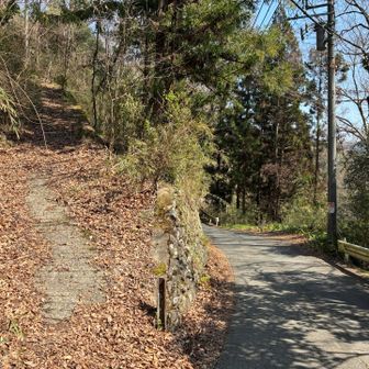 行き止まり。間違い。