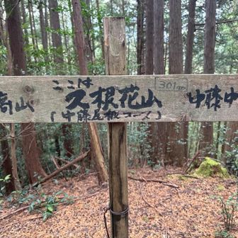 久根花山登頂301m