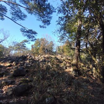 稲荷山北端1号墳だったか
古墳の上にある