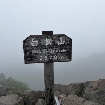 頂上は真っ白🤍