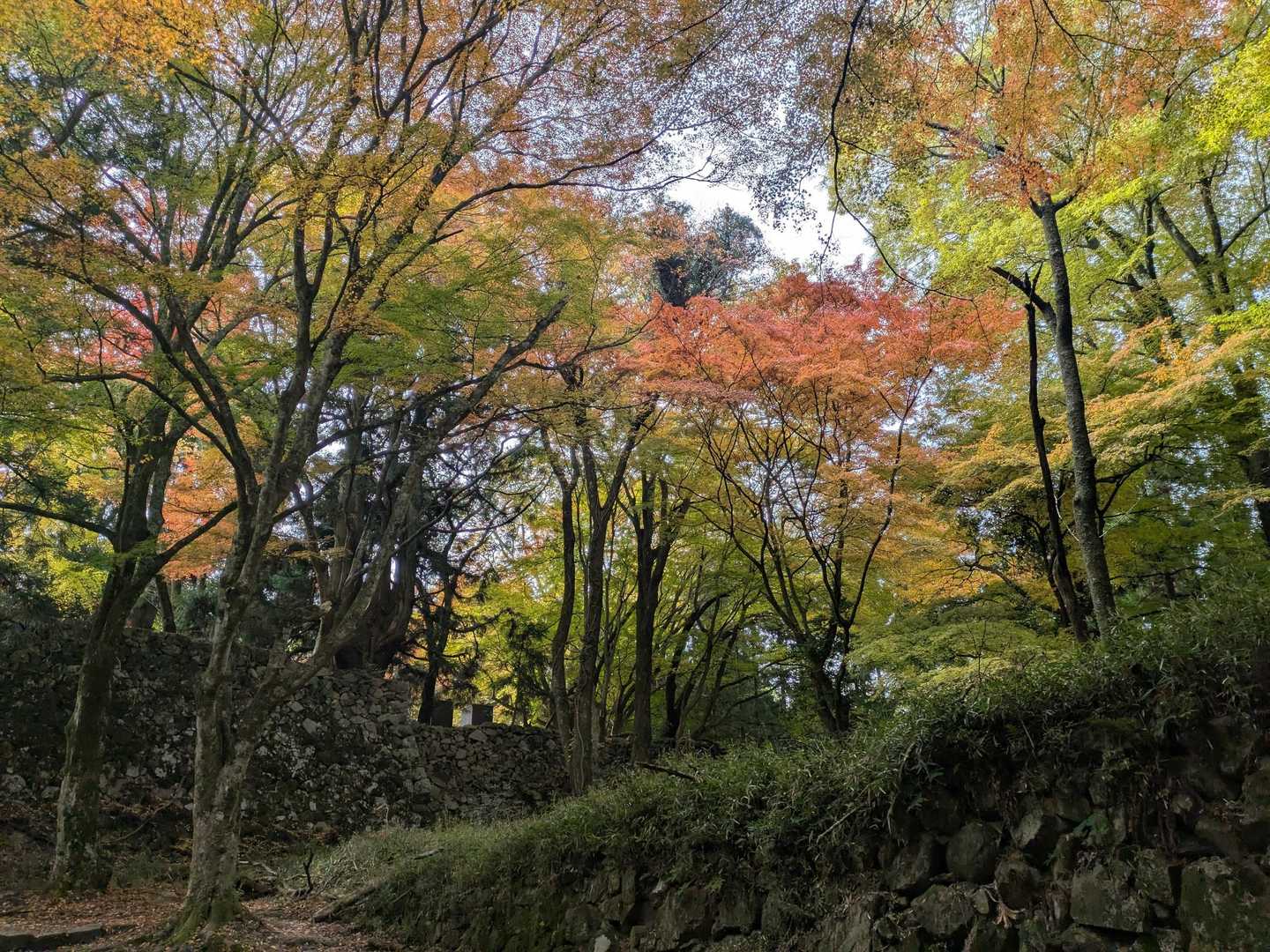 この辺り、どっち向いてもめちゃ綺麗✨