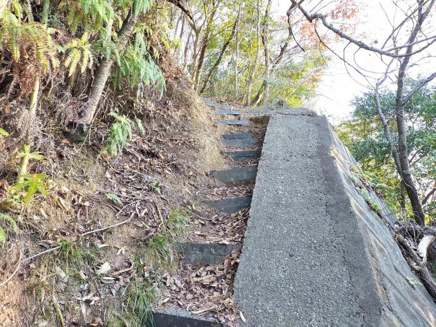 家から近い八丈岩山の登山口へ❗
先週は下山で使って、すっ転んだから登りで☝️