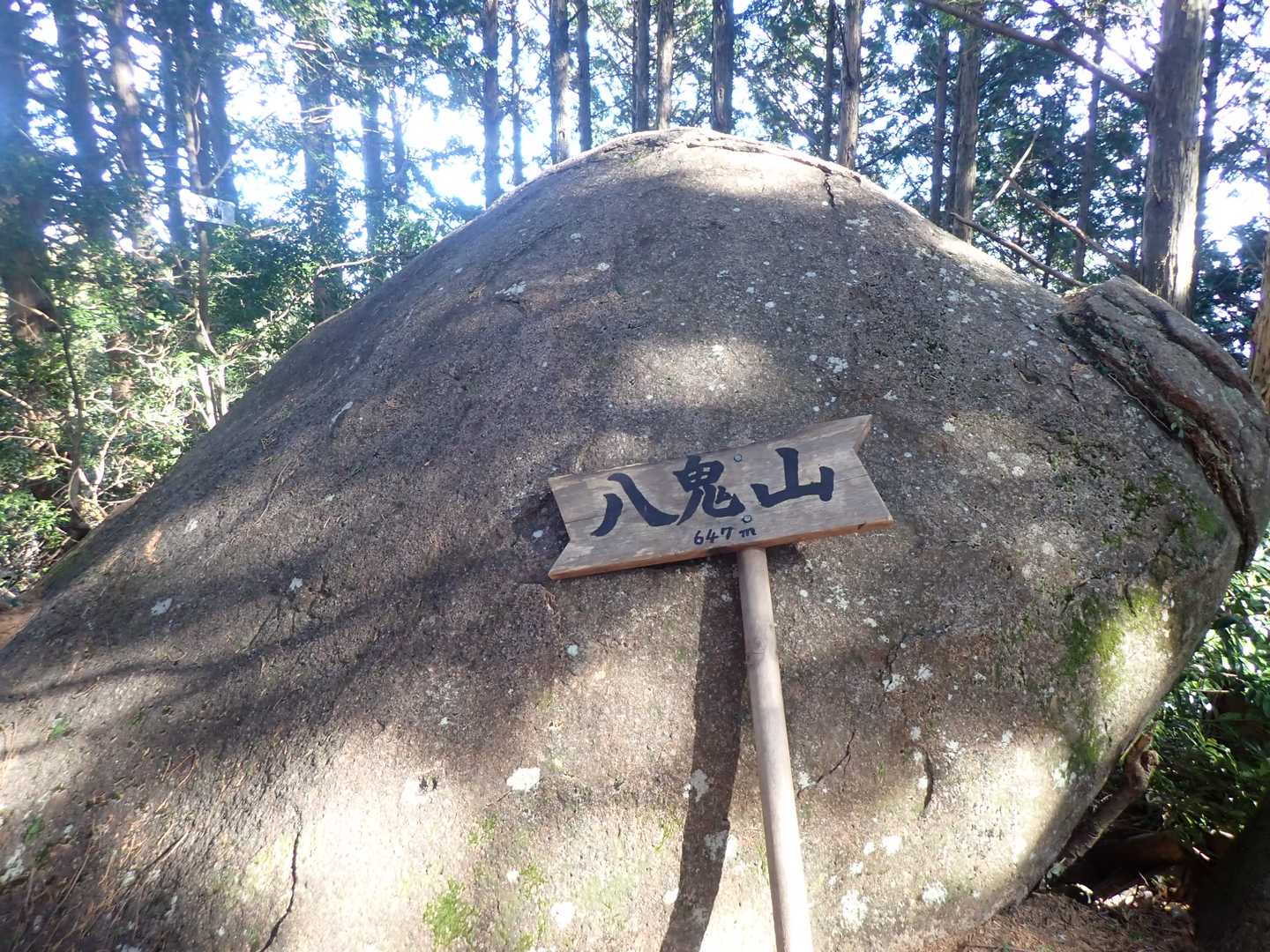 森の中の地味な山頂に着いた、さっき天狗倉山で会った人は八鬼山にも展望があるって言ってたのに---