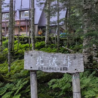 北沢峠
バスの車窓から迫力ある鋸岳がよく見えた