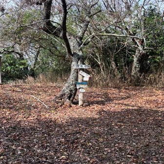 鷲津山までの登りは息が切れます